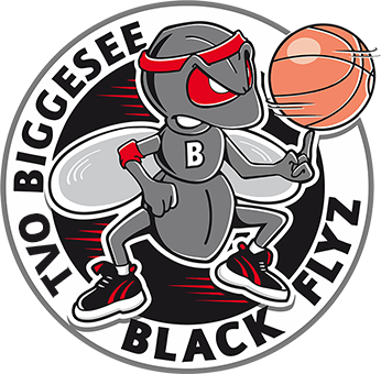 Logo TVO Biggesee